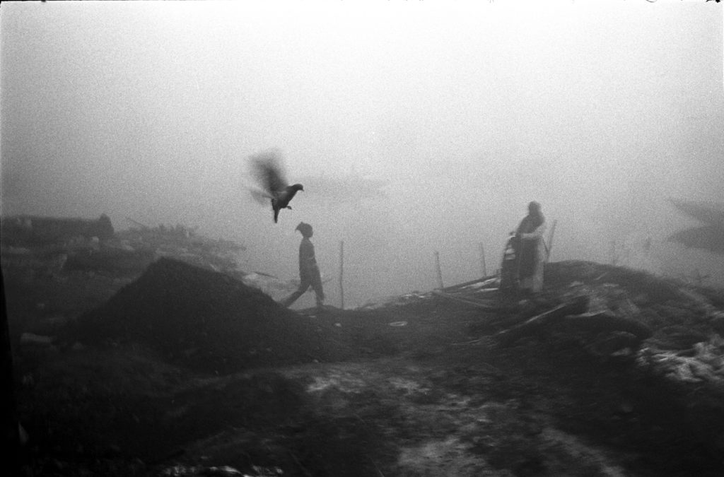 Oiseau et silhouettes au bord du Gange.